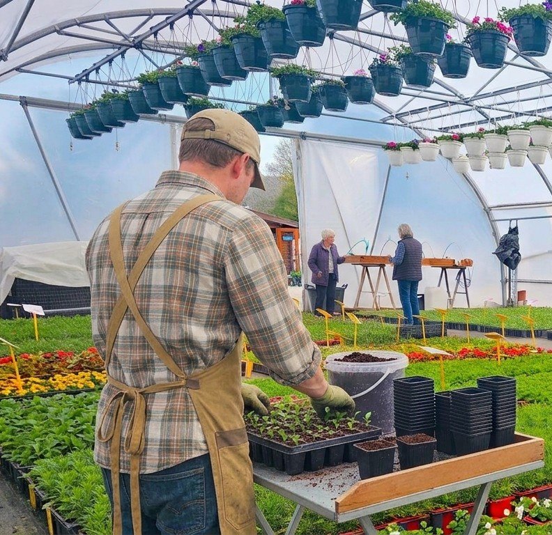 Horticulteur repiquant de jeunes plants sous la serre